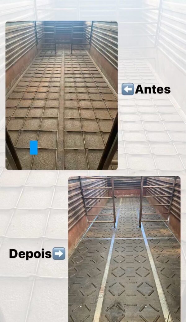 Piso Boiadeiro